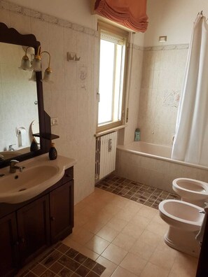 Combined shower/bathtub, hair dryer, bidet, towels