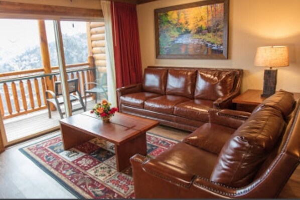 Smart TV, fireplace, video games, video library