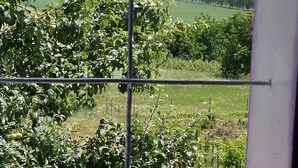 Une vue à travers une fenêtre ornée d’une grille métallique, avec un arbre aux feuilles vertes et un champ où poussent différentes plantes en arrière-plan.
