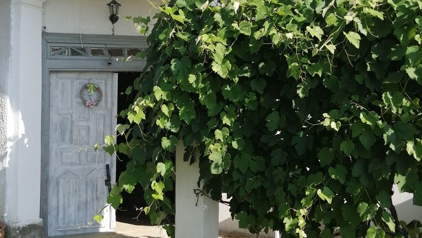 Une maison avec un toit en tuiles, une porte blanche ornée d’une guirlande et un grand mur recouvert de lierre.