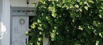 Real vintage feeling