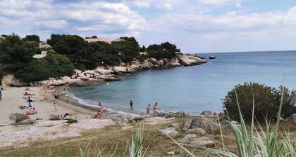 T2, 3 étoiles avec une superbe vue mer et plage et pinÚde sans aucun vis à vis.