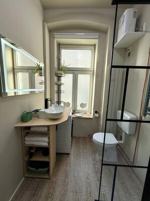 Shower, hair dryer, towels, soap - Apartment with garden + free parking lot -T1 (Wien)