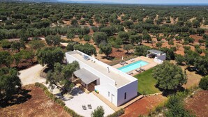 Eine moderne Villa mit Swimmingpool, umgeben von Olivenhainen unter blauem Himmel.