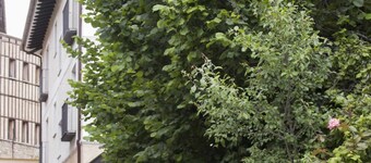 Tourist accommodation Rurality Home B