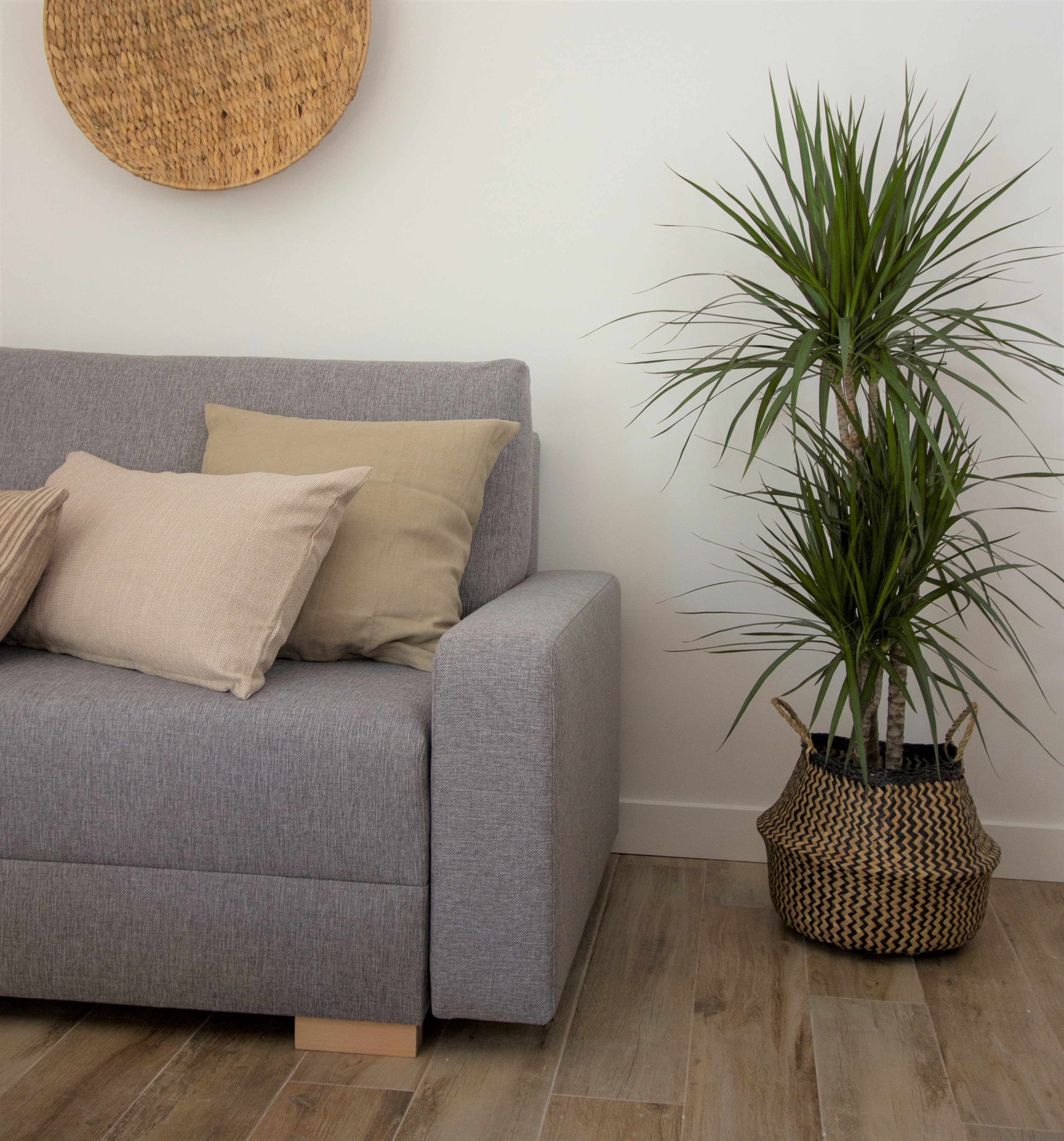 Televisión y libros 