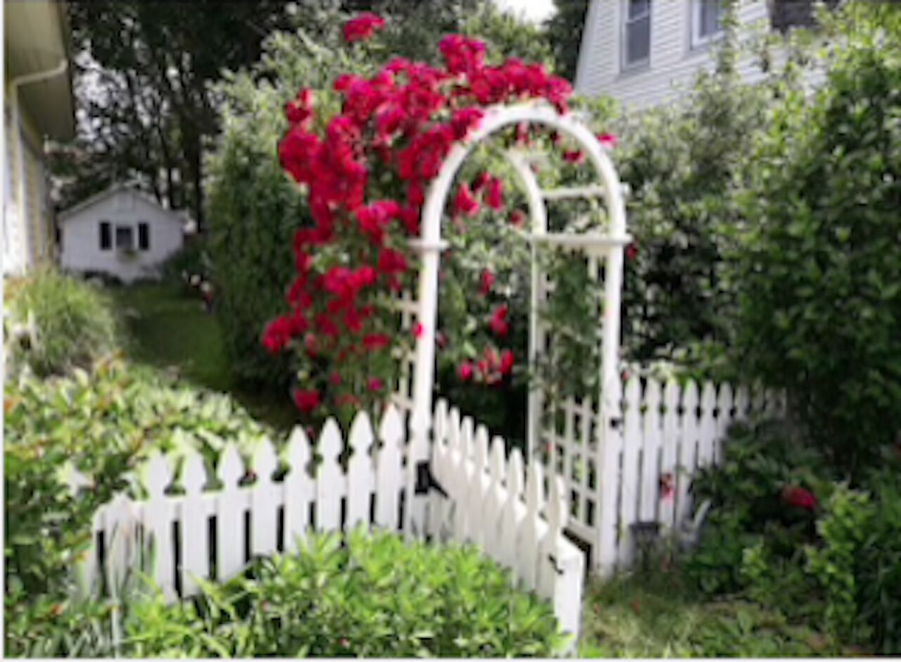 Beach guest cottage near everything- great location! 