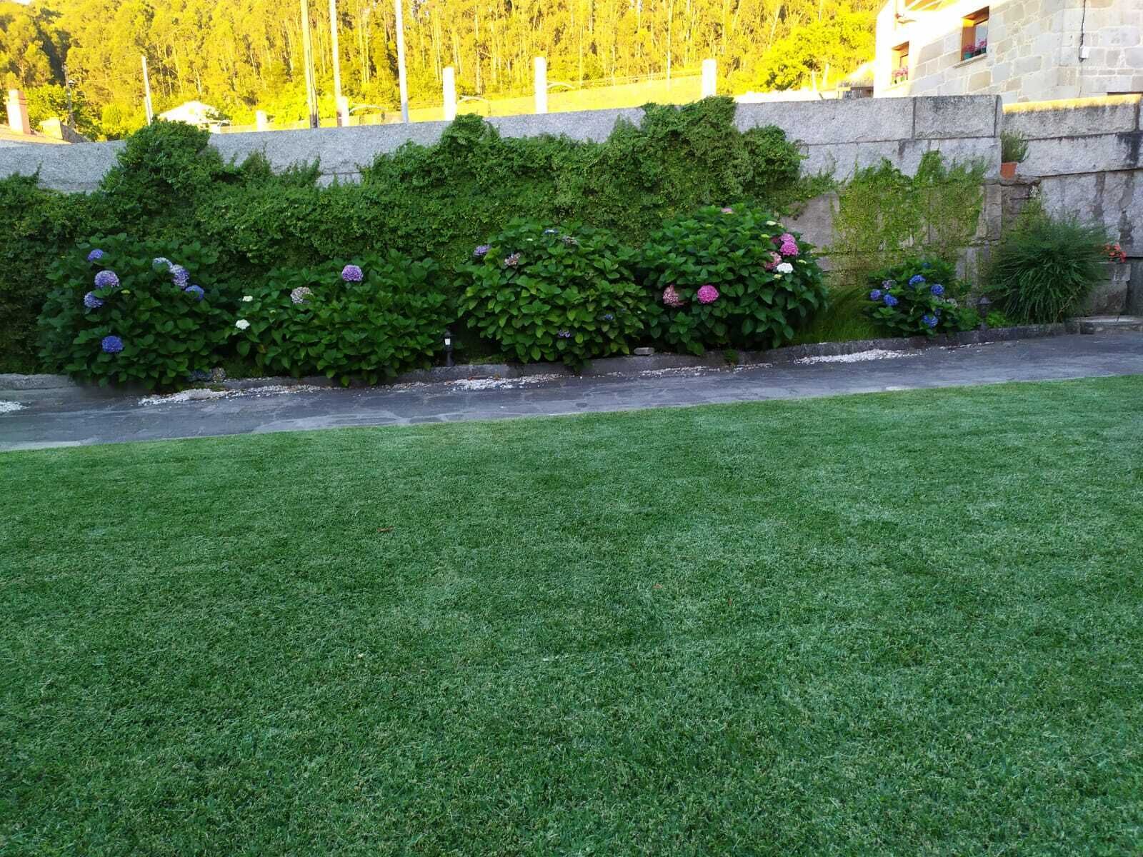 Un césped cuidado con un muro de piedra y diversas plantas arbustivas y flores.
