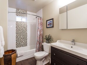 Combined shower/tub, hair dryer, towels, soap