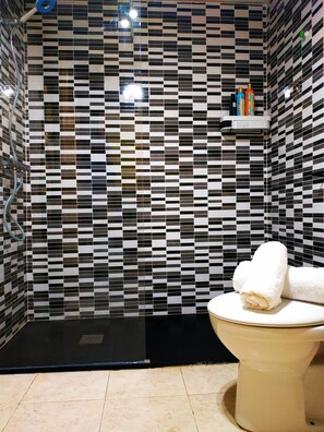 Shower, hair dryer, towels, soap