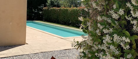 Piscine extérieure, piscine chauffée