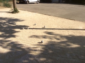 Property grounds
