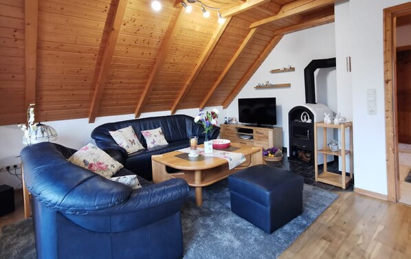 Smart TV, fireplace, DVD player, music library