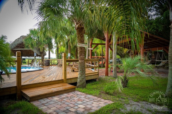 Pool & deck area. This is a shared space among all of our guests.