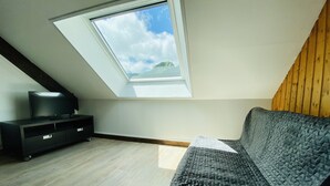 Een kamer met een schuine plafond, dakraam, een zwarte entertainmentkast en een donkergrijze bank.