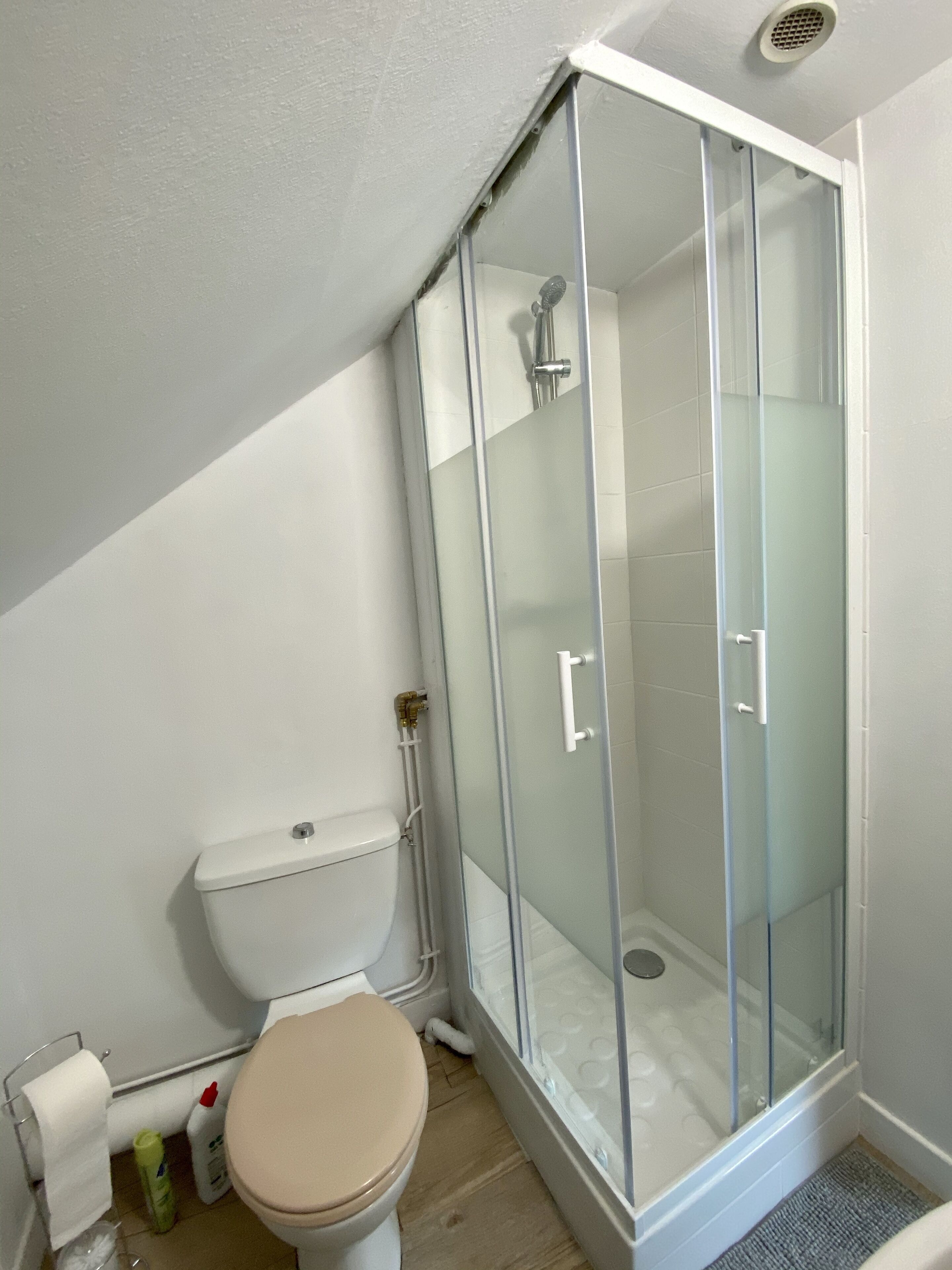 Une salle de bain avec une douche à parois de verre, des toilettes et un lavabo.