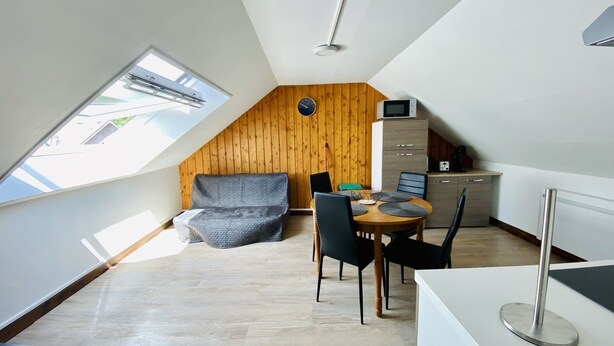 Een compacte, moderne loft slaapkamer met een schuine plafond, een houten wand, een klein keukenhoekje en een gezellige zithoek met een bank en stoelen.