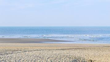 Playa en los alrededores