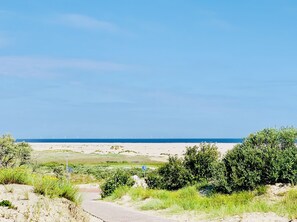 Beach - House cormorant - little seagull (Borkum)