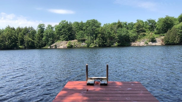 A wooden dock extending into a calm lake, surrounded by dense green trees. - Single Family Cottage Perfect for Families with Kids Charm and Sunset Included (McKellar)