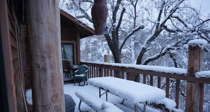 Gorgeous Mountain Escape, up to 12!