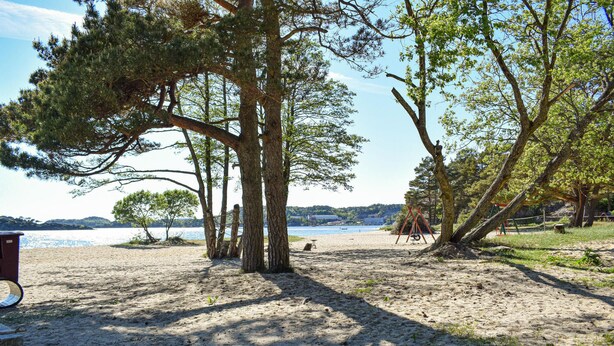 Een strand met bomen, een zandgebied en uitzicht op het water.