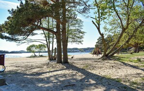 Une plage bordée d’arbres, une zone sablonneuse et une vue sur l’eau.