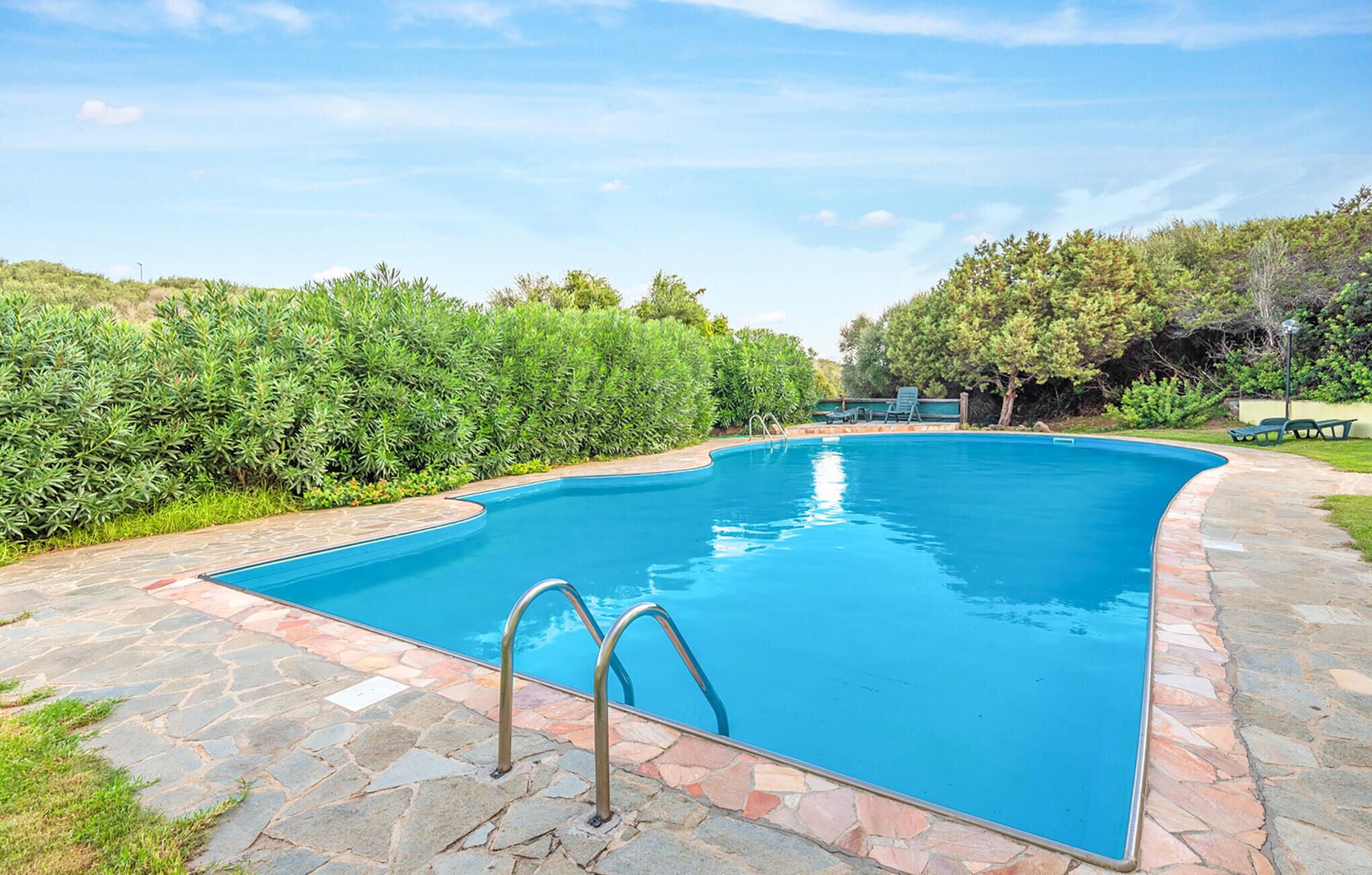 Una piscina rettangolare con bordo in pietra e scaletta in metallo, circondata da vegetazione lussureggiante e alberi.