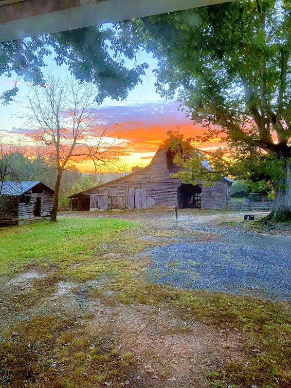 A rustic barn with a sloped roof, surrounded by a grassy area and trees.