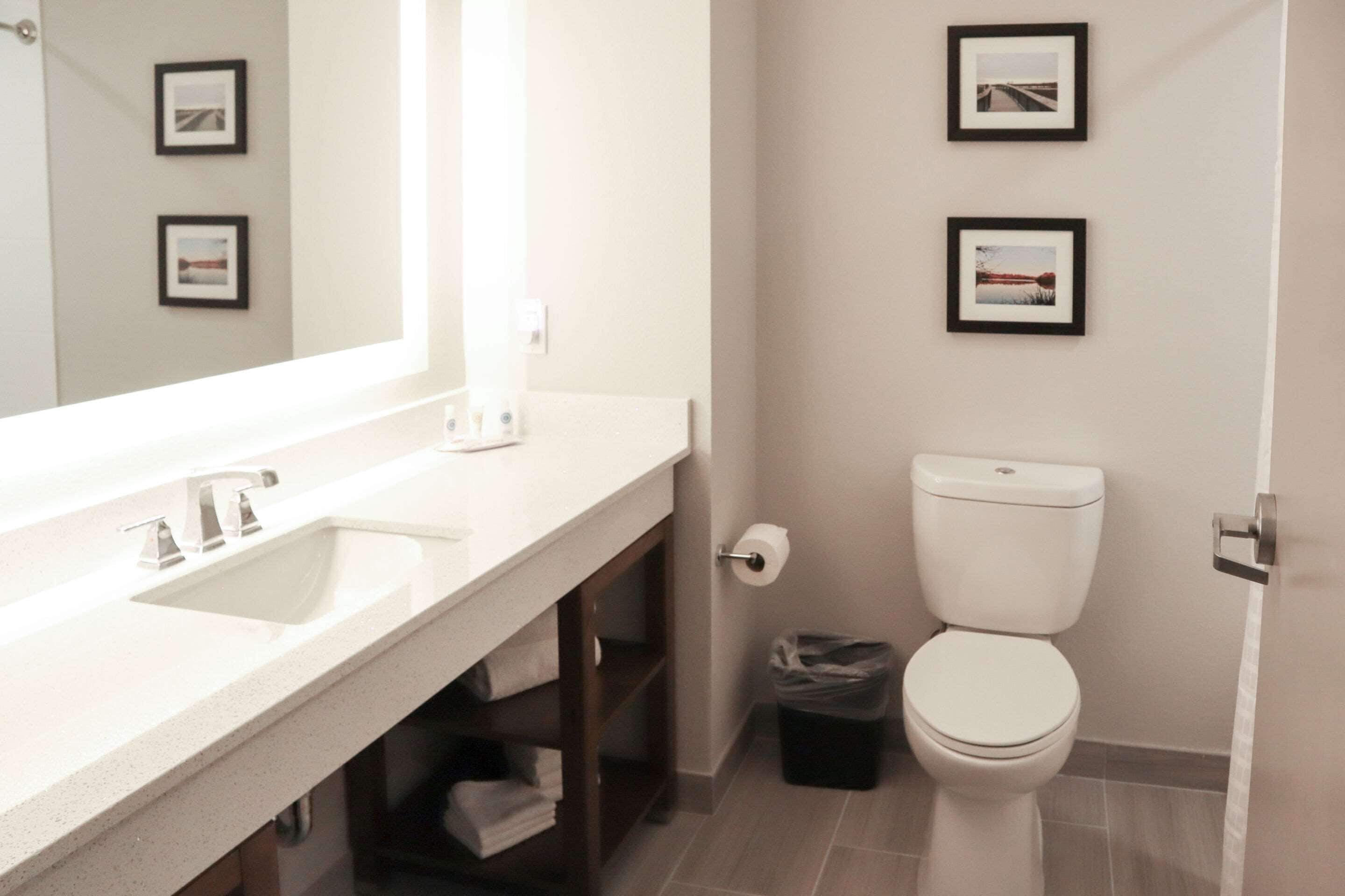 Un bagno moderno con lavandino, specchio e water bianchi. Alle pareti sono presenti quadri incorniciati e un cestino sotto il lavandino.