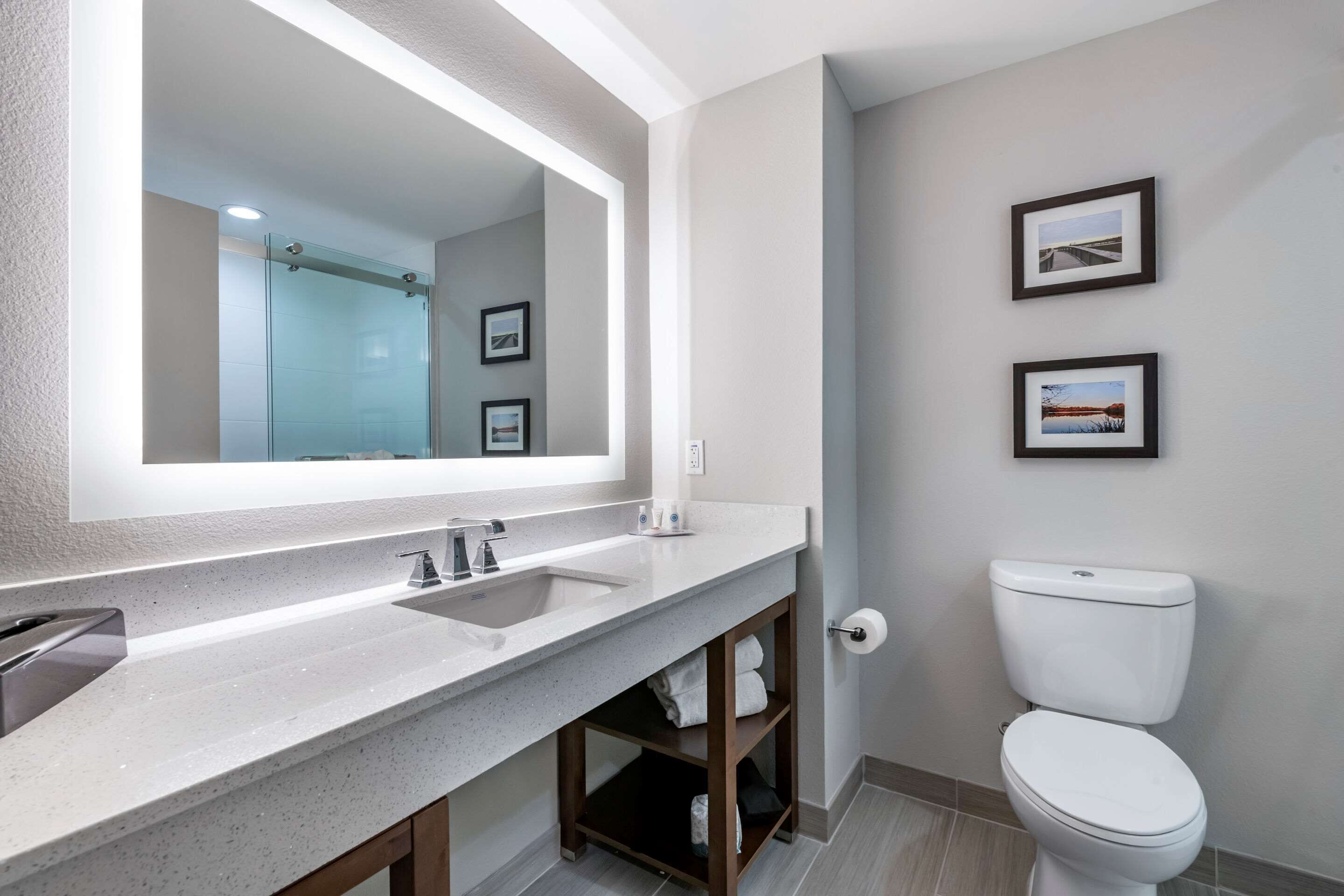 A modern bathroom with a large mirror, two framed pictures on the wall, a toilet, and a sink with a countertop.