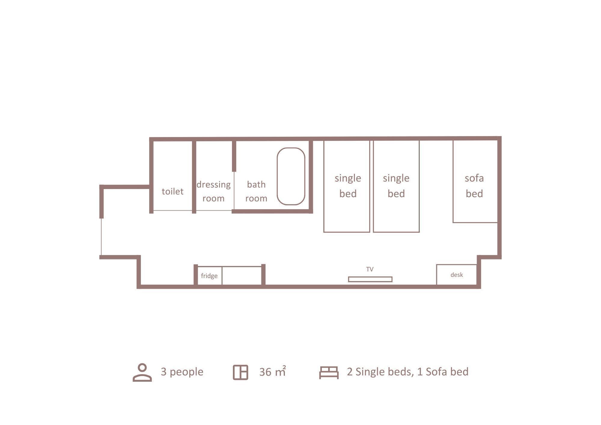 A floor plan of a 36 m² room with 3 people capacity, featuring 2 single beds, 1 sofa bed, a TV, and a desk.