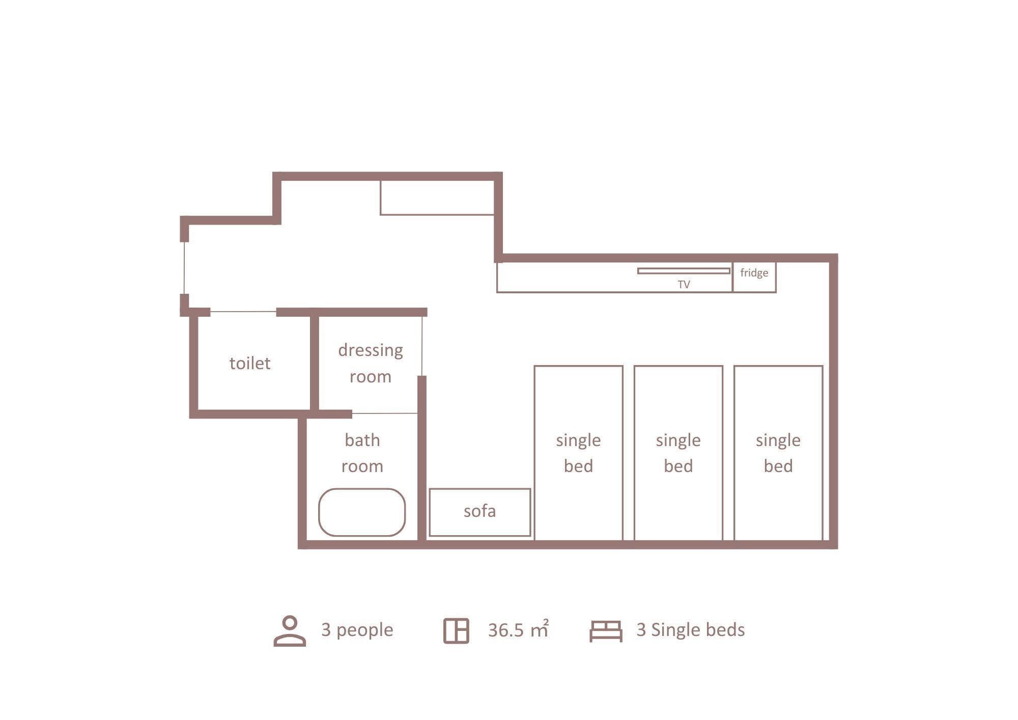 A floor plan with a toilet, dressing room, bathroom, single beds, a sofa, and a TV. It accommodates 3 people and has an area of 36.5 m².