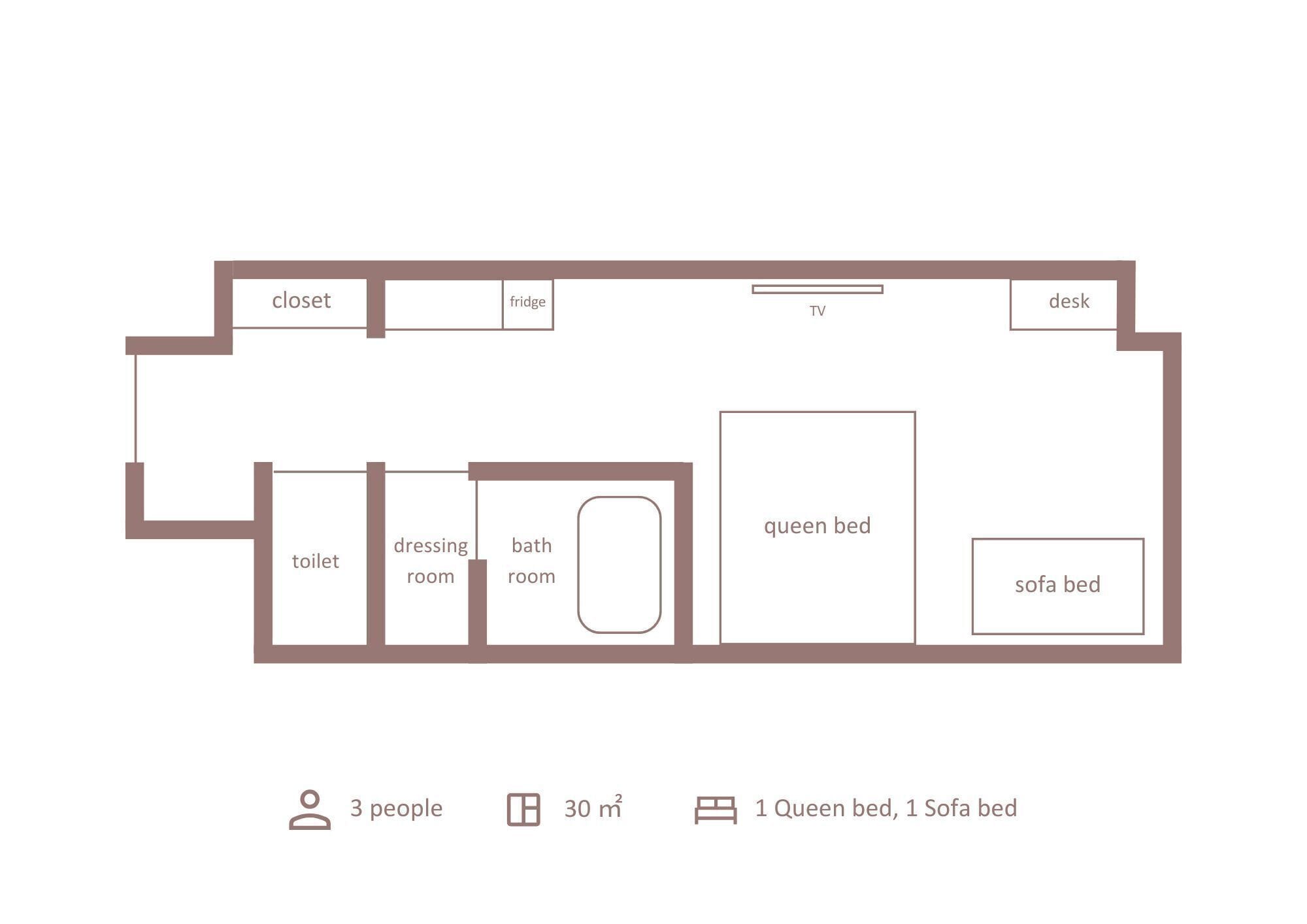 A floor plan with a closet, toilet, dressing room, bathroom, queen bed, sofa bed, TV, and desk. It is designed for 3 people and has a total area of 30 m².