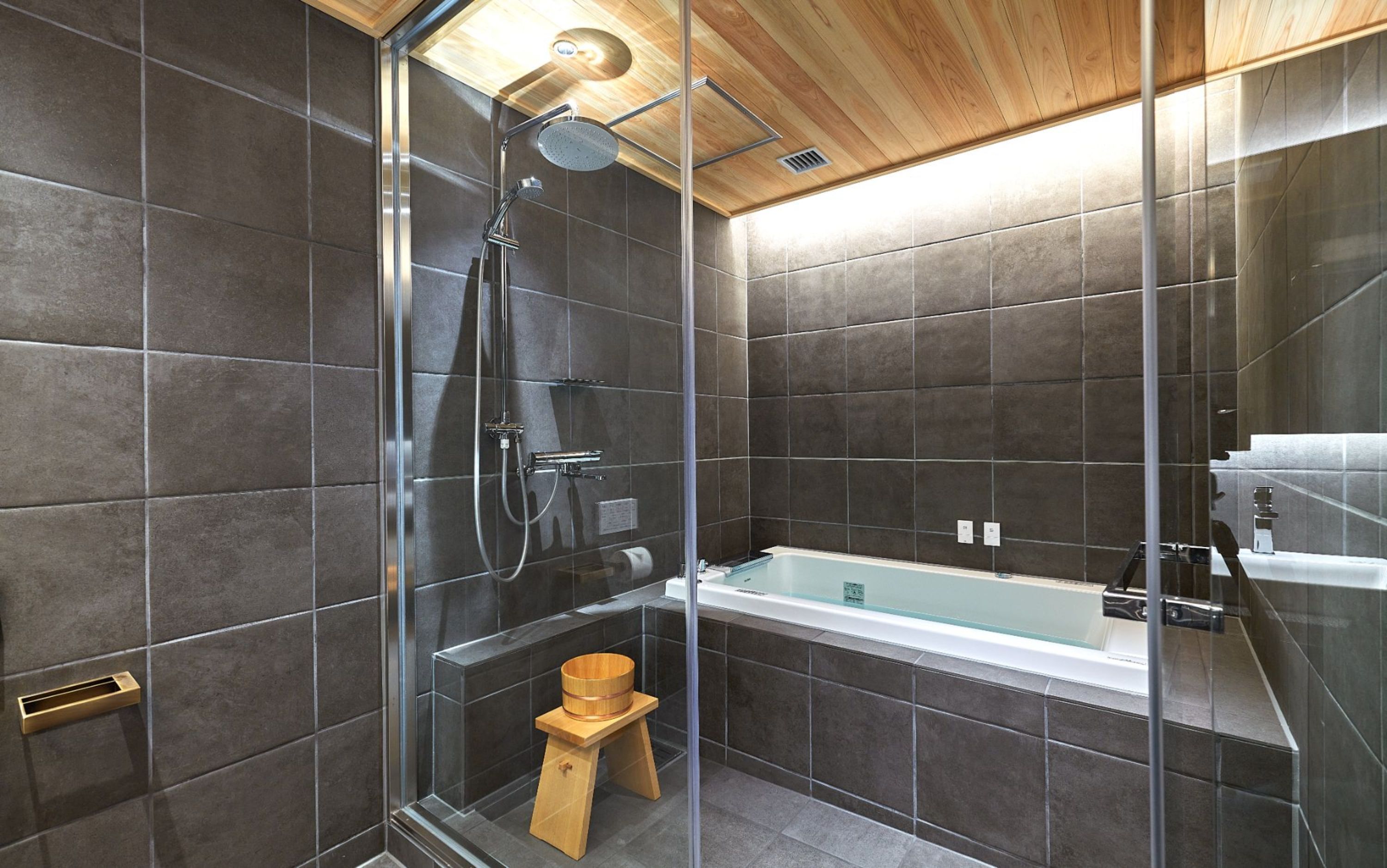 separate bathtub and shower, hydromassage showerhead, hair dryer