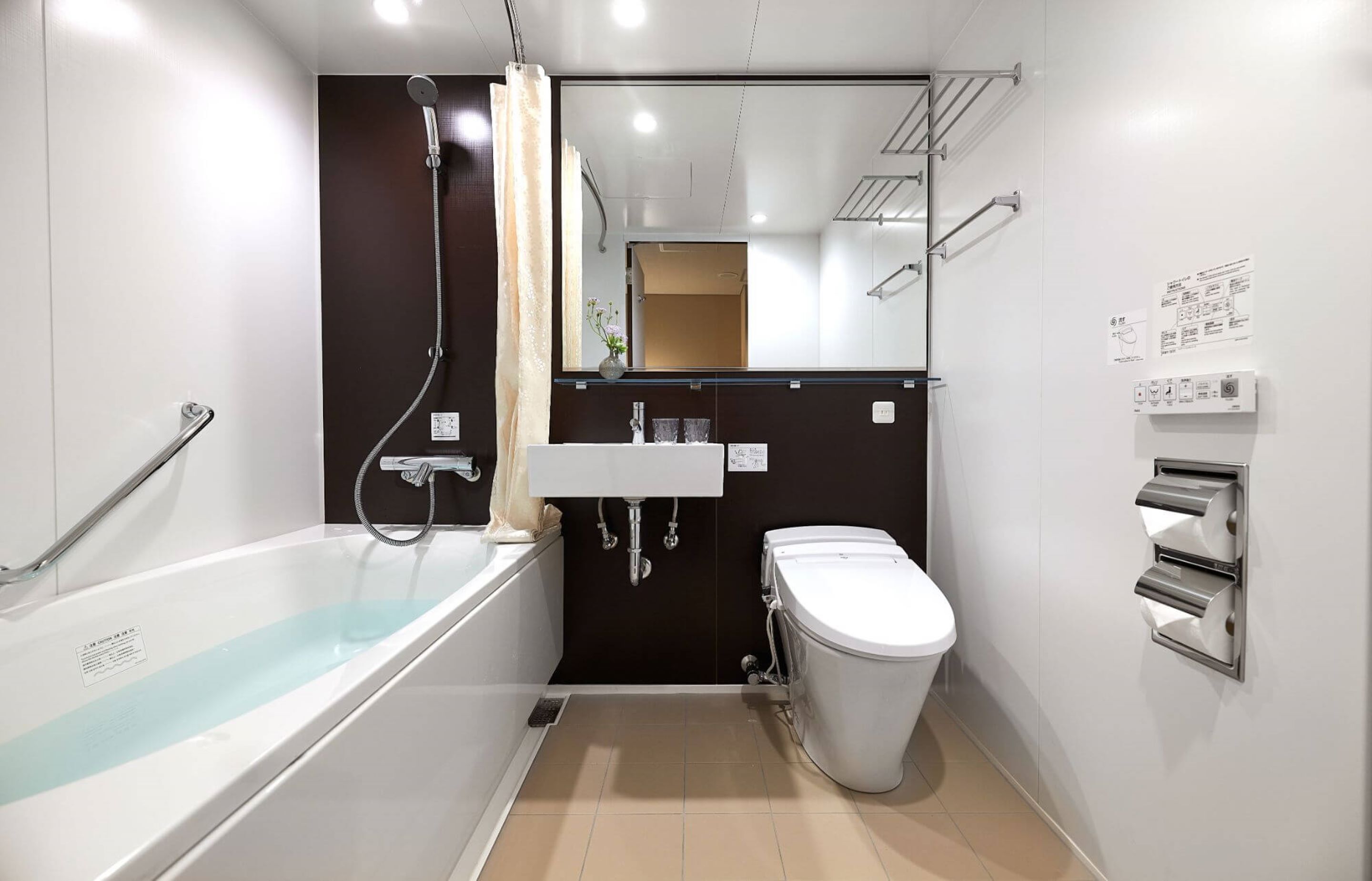 separate bathtub and shower, hydromassage showerhead, hair dryer