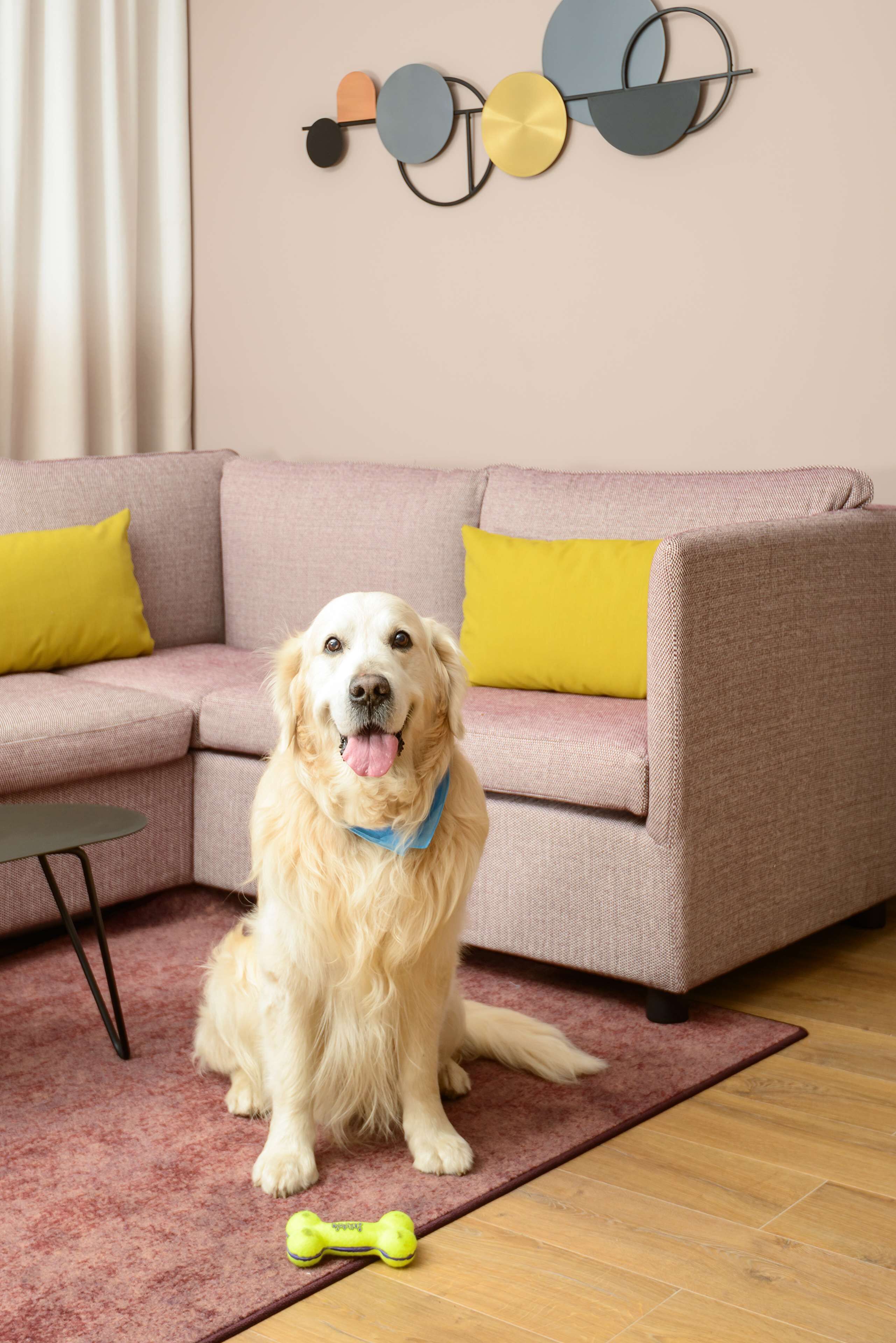 1 bedroom, in-room safe, laptop workspace, soundproofing