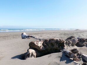 Beach nearby, white sand