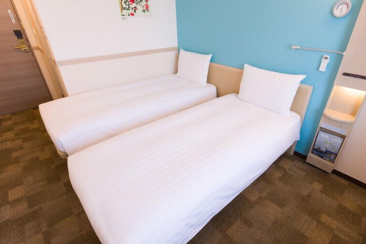 Habitación económica con 2 camas individuales, no fumadores | Edredones de plumas, escritorio, espacio para trabajar con un portátil