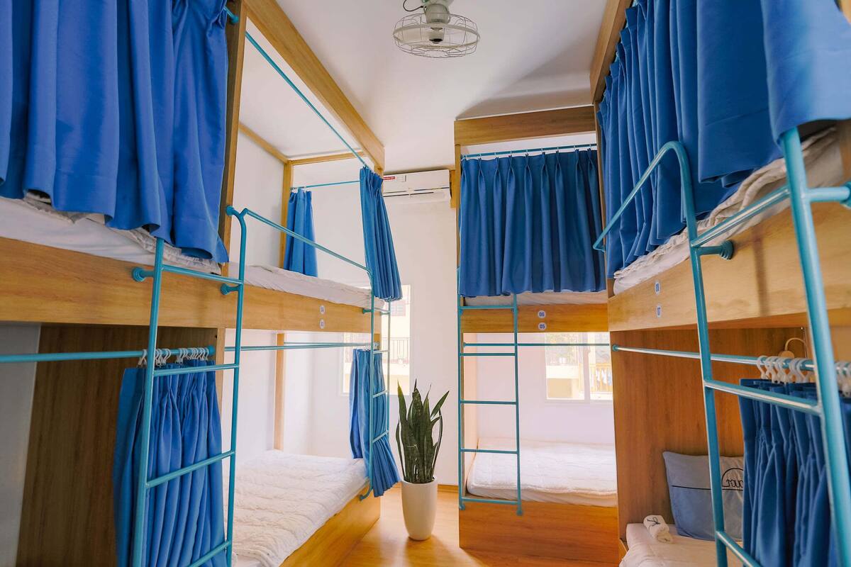 A dormitory room with bunk beds, blue curtains, a potted plant, and wooden flooring.