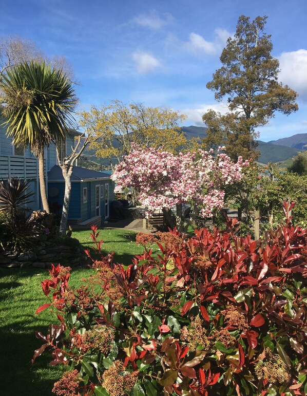A garden with various plants and a house in the background.