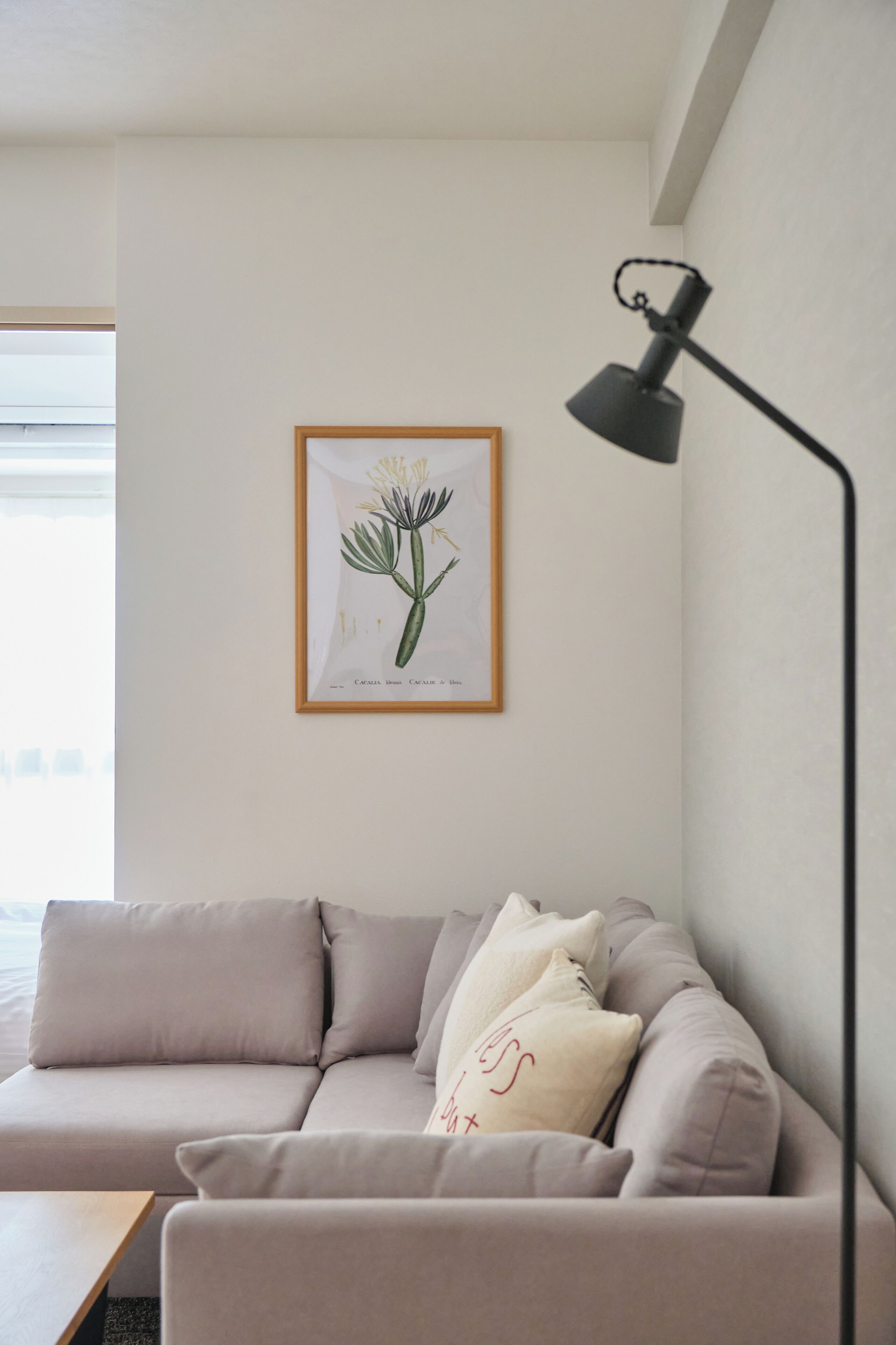 Ein modernes Wohnzimmer mit einer Couch, Kissen, einem gerahmten Pflanzenprint und einer Stehlampe.