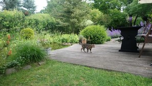 Property grounds - Ferienwohnung Teschow (Teterow)