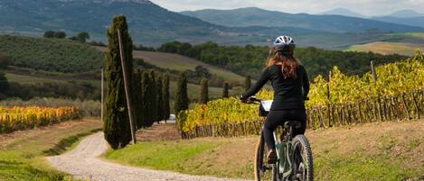 Una persona in bicicletta su un sentiero sterrato, circondata da vigneti e colline.