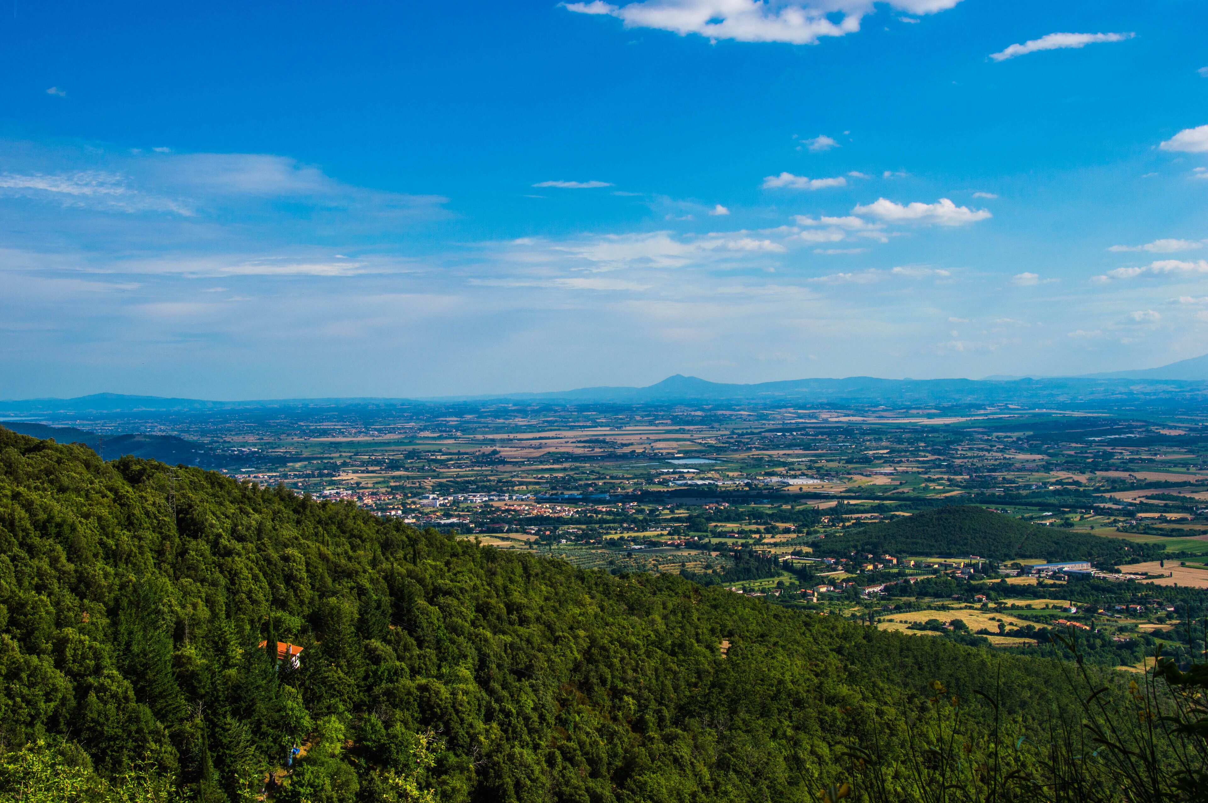 A panoramic view of a town nestled in a valley with a dense forest in the foreground and a clear blue sky above.