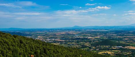 A panoramic view of a town nestled in a valley with a dense forest in the foreground and a clear blue sky above.