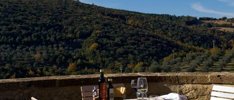 A table set outdoors with a view of a forested hill.