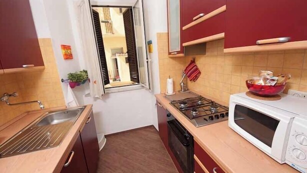 A compact kitchen with a gas stove, a microwave, and a sink. - Confortevole Appartamento Vicinissimo al Vaticano, Metro, AC & Fast Wifi (Rome)