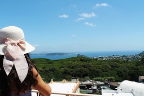 A coastal landscape with a view of the sea and a distant island. - Villa La Favola Suite Ischia Terrace With View (Barano d'Ischia)