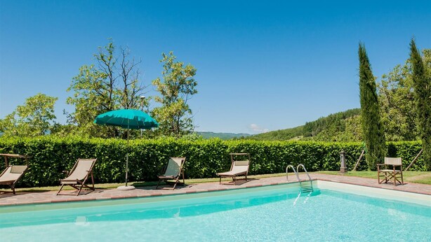 A swimming pool with lounge chairs and an umbrella, surrounded by hedges and trees. - Wonderful Villa With Private Pool in the Heart of Tuscany (Pratovecchio Stia)